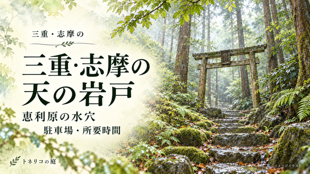 三重・志摩の天の岩戸を題材に、雨の森に立つ鳥居と石段の参道を描いたイメージイラスト