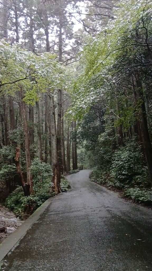 駐車場から天の岩戸へ向かう道路